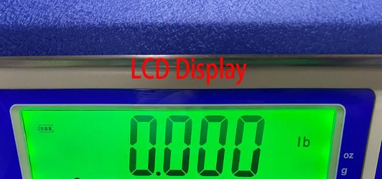 Economic Weighing Scales with Big LCD Display 30kg (GC-27)