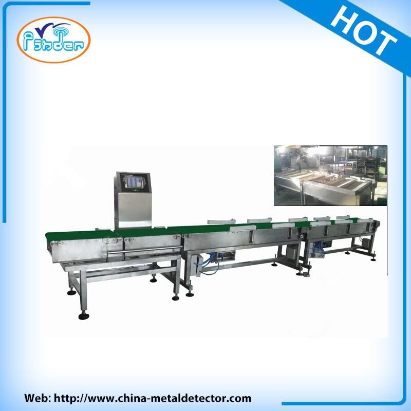 Conveyor Check Weigher Converyor Weigher for Checking