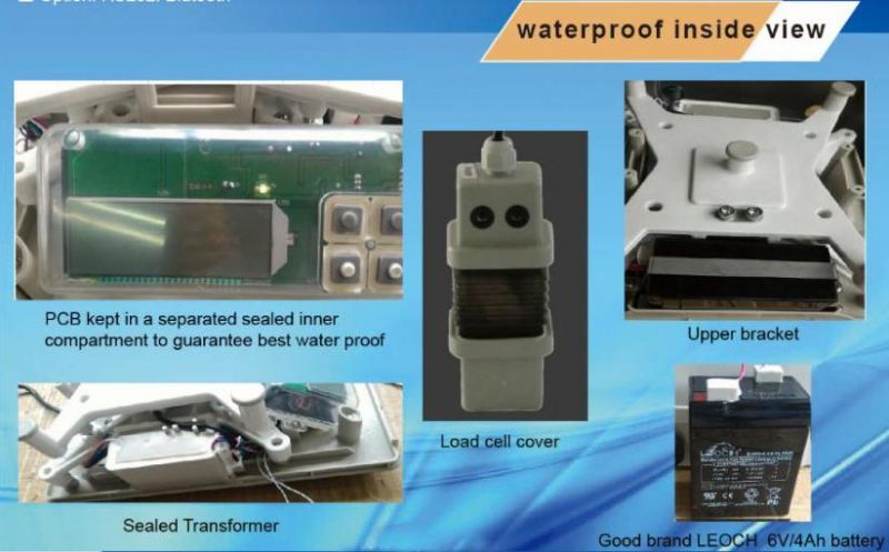 Approved IP68 Stainless Steel Table Scale for Commercial Use