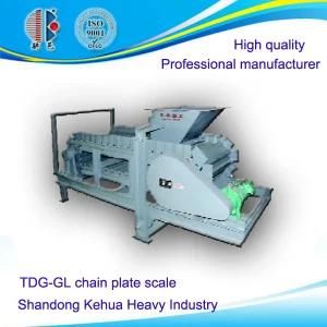Tdg Gl Chain Plate Scale for Powder or Granular Material Conveying