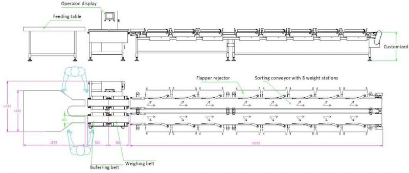 Customized Sorting Machine/Sorting Equipment/Sorting Scale