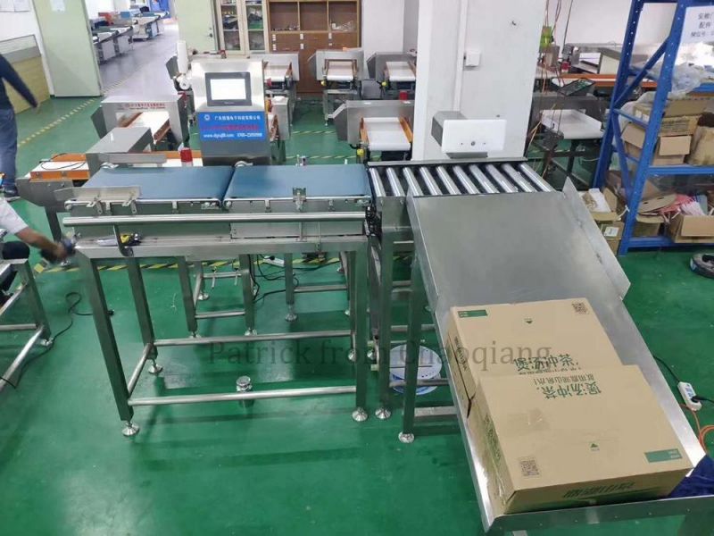 Carton Box Electronic Industrial Weighing Scale Conveyor Check Weigher Weight Machine for Case