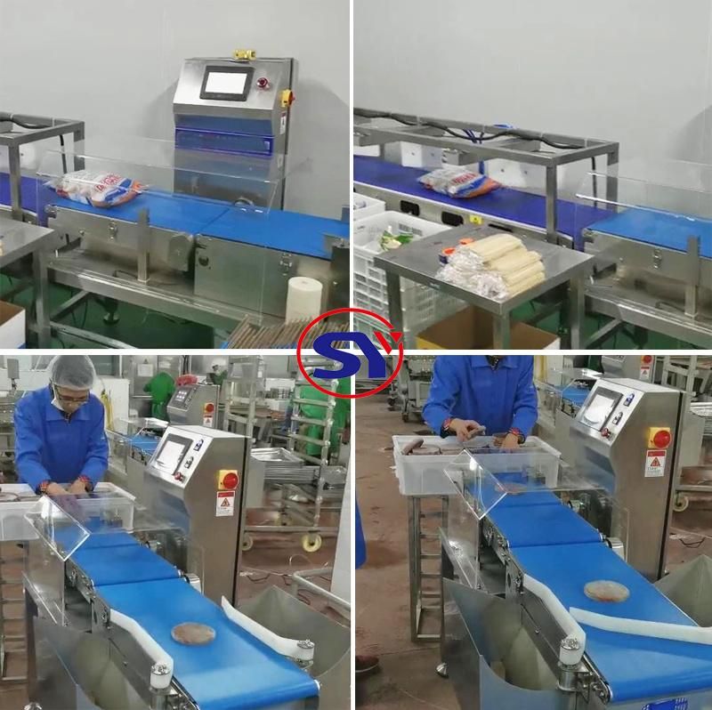 Touch Screen SUS304 Belt Conveyor Weigher Weight Check Machine for Overweight Detection