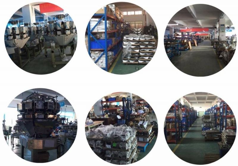 Fresh Products Belt Weigher Equipment Frozen Fish Weigher