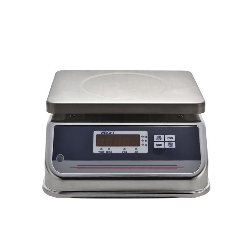 Digital Stainless Portable Weighing Scale