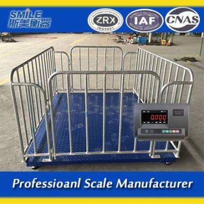 2*1.5m Scale for Pig Livestock Scale for Cattle Cow Weight Scale