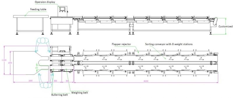 Dual Line Fish Weight Checking and Grading Machine