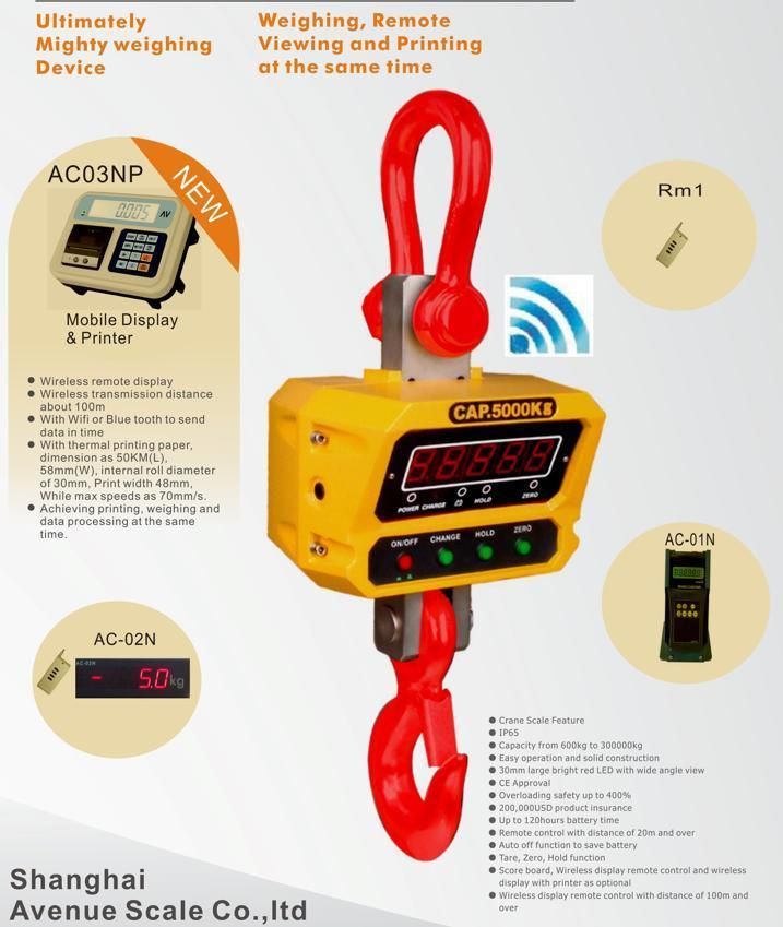 Industrial Crane Scale 1~3t with Extra LED Display