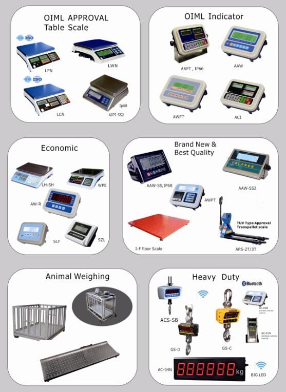 EU-Approved Digital Scale Hot Sale Crane Scale