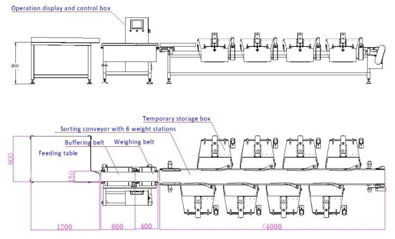 Automatic Fish/Abalone Sorting Machine with 6-8 Weight Levels