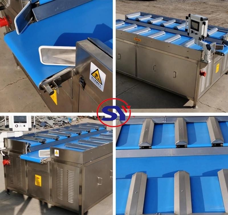 Fish Fillet Target Combination Multihead Weigher