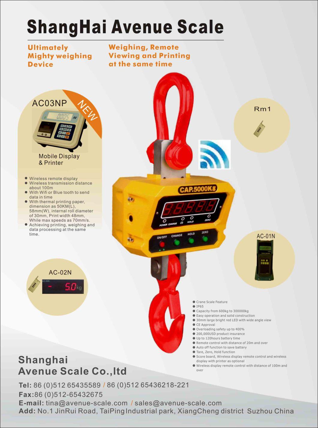 Digital Crane Scale electronic Scales LED Hanging (GS-W)