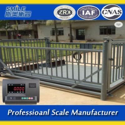 2*3m Clever Electric Weighing Platform Scale for Animals 2000kg