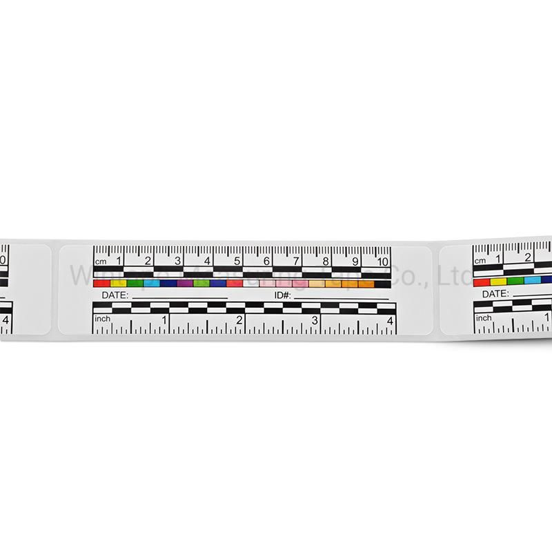 Medica Paper Ruler Inch and Cm Medical Sticker Wound Tape Measure