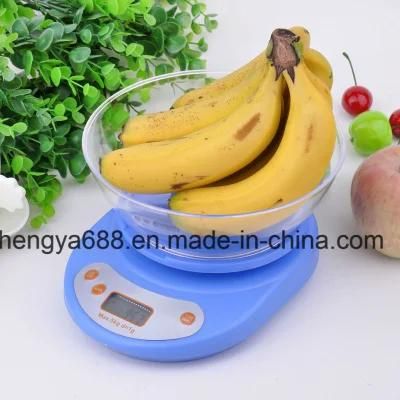 Where to Buy Food Scale Electronic Cooking Weighing Scales
