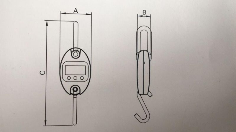 Long Lasting Corrosion-Resisting Ocs L Crane Scales