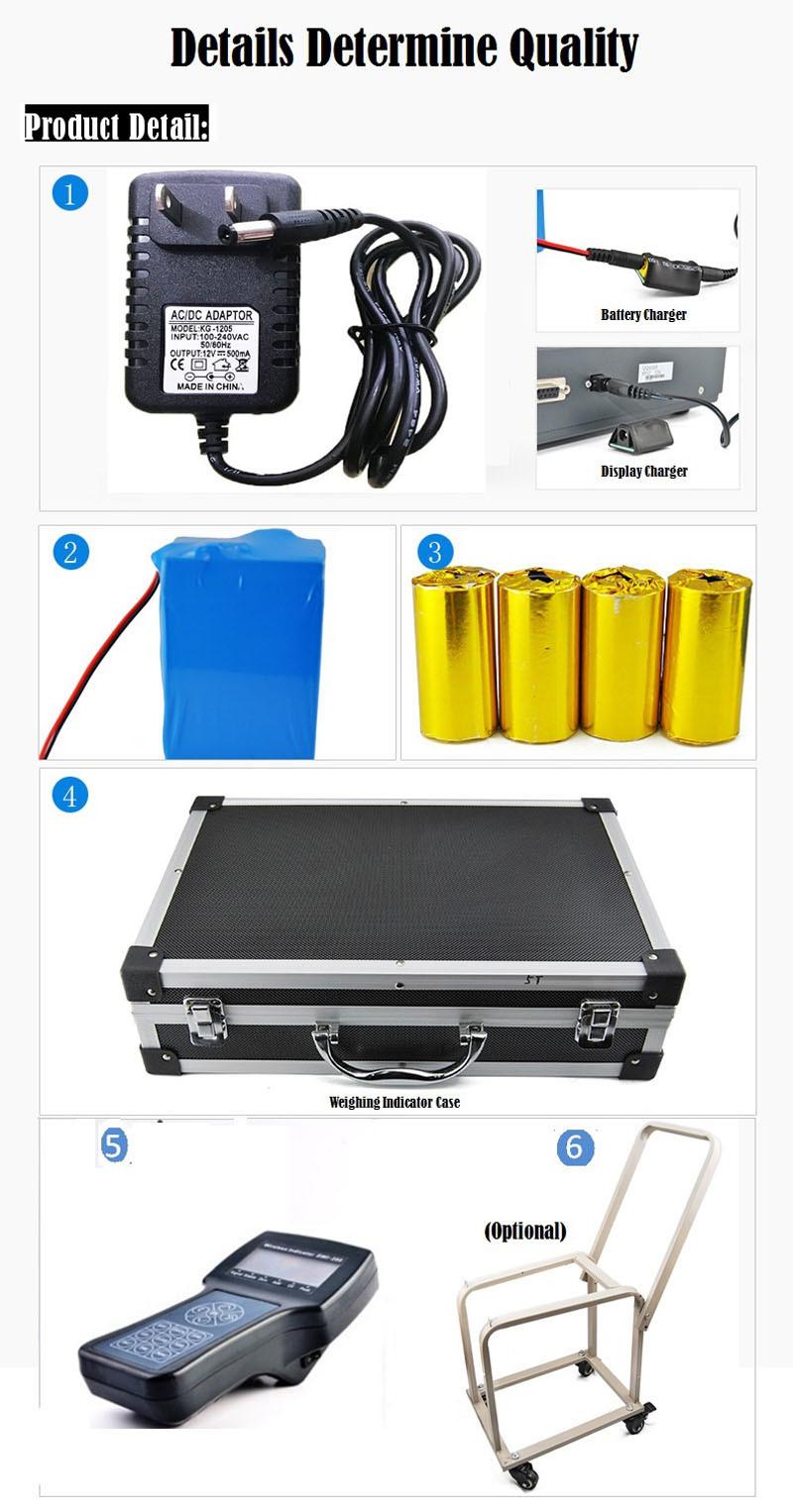 Wireless Industrial Electronic Crane Scale