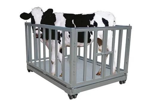 Electronic Livestock Weighing Animal Cattle Scale with Fence for Farm
