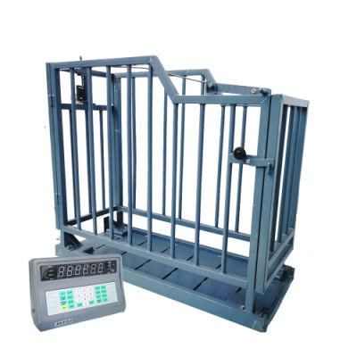 Cow Weighing Scales Animal Weighting Scales Digital Scale