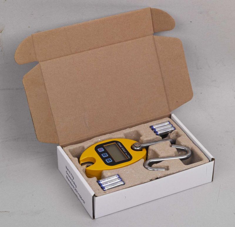 Low Voltage Auto Power-off Overload Alarm Crane Scale