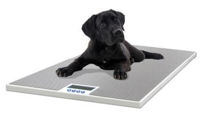 Animal Scale Vet Floor Scale Vs