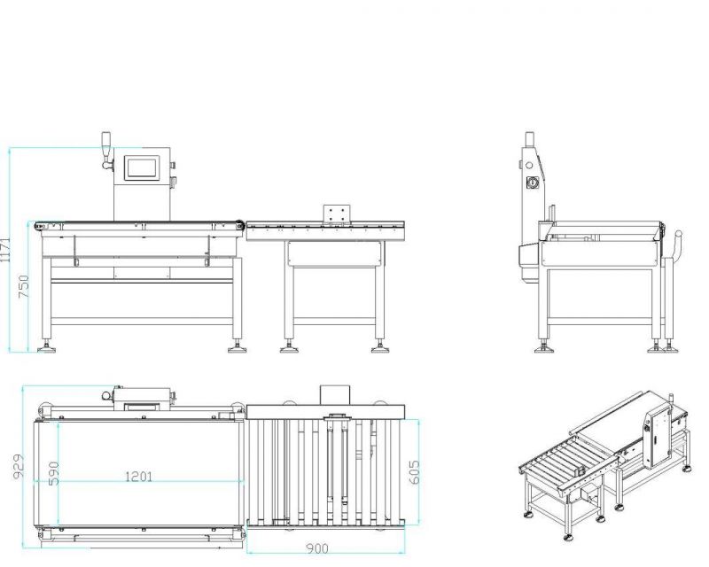 Factory Price Digital Checkweigher Weighing Scales for Food Bag Box Conveyor Belt Check Weigher