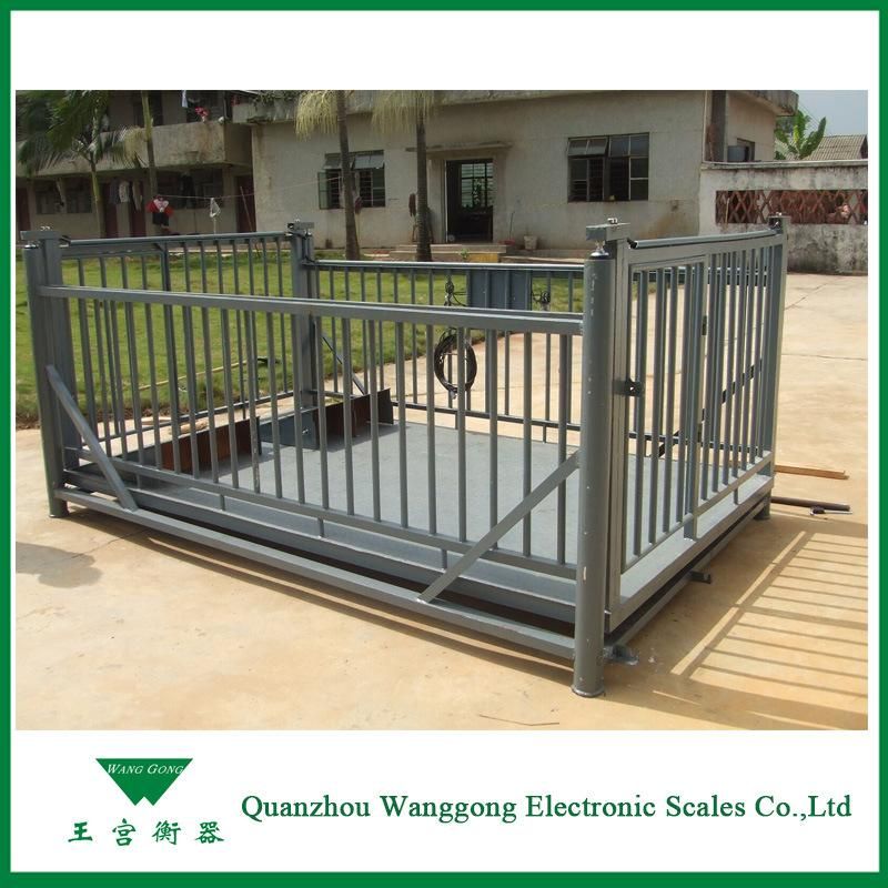 Digital Easy to Use Animal Weighing