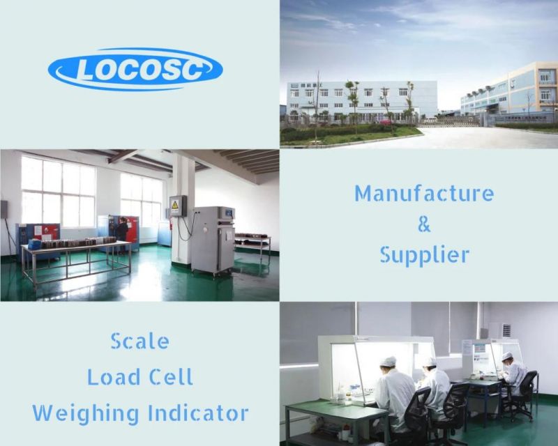 OIML 7 Digits LED Weighing Indicator for Scale