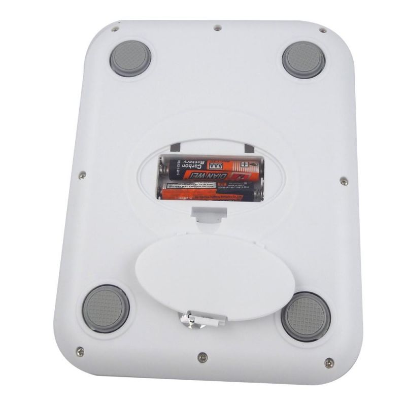 Stainless Steel Water Proof Weighing Scale