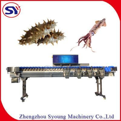 Stainless Steel High Speed Checkweigher Shrip Fish Fillet Classification Machine Weight Sorter