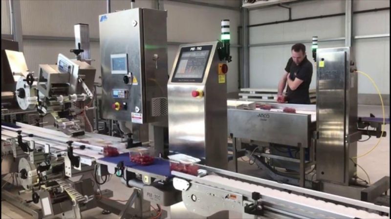 Factory Wholesale Industrial Weight Measuring Device Conveyor Belt Weigher