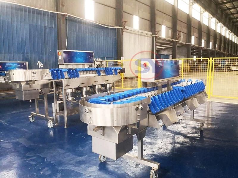 High Accurate and Smart Oyster Shrimp Crab Seafood Weight Size Sorter Grading Machine