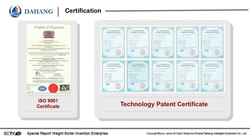 Online Checkweighing Solution with High Sensitivity