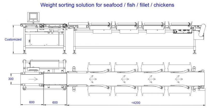 Export Weight Sorting and Grading Equipment for Canada Lobster