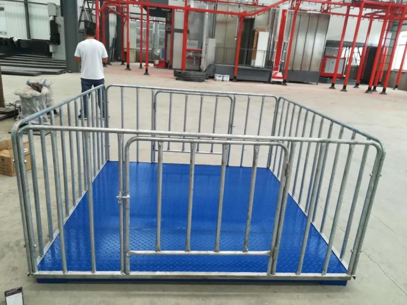 China Weight Electronic Weighting Scales Animal Scales with Digital Display for Easy Weight