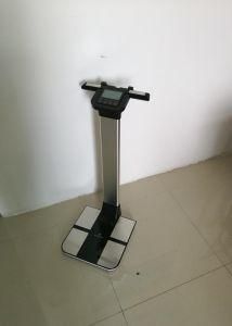 Bodecoder Body Composition Machine Human Body Composition Analyzer Exquisite Scales