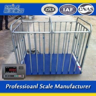 1000kg Veterinary Floor Stationary Weighing Fish Portable Horse Livestock Scale Animal Scales