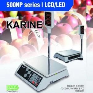 Digital Pricing Scale with Pole and LED/LCD Display (500NP)