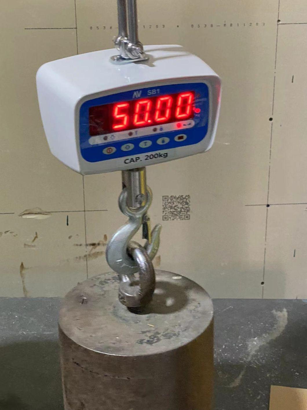 EU-Approved Digital Scale Hot Sale Crane Scale