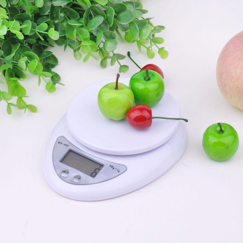 ABS Plastic Household Digital Scale with Printer