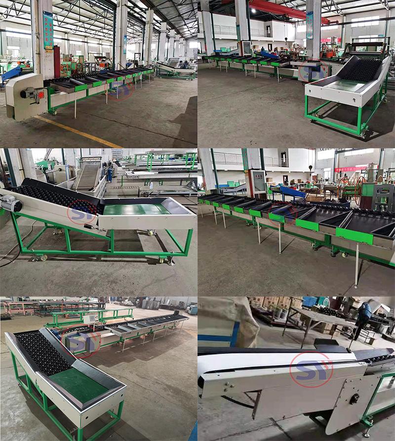 Factory Supply Multi Tray Mango Weight Sorting Grading Machine