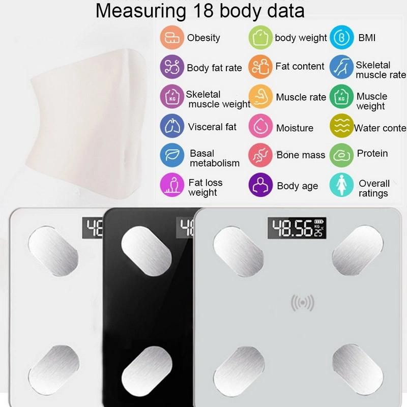 Bl-2601 BMI Fat Water Muscle Measure Scale ODM OEM