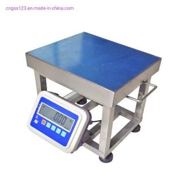 Platfrom Scale Electronic Stainless Steel Chicken Weigh Scale for Farm