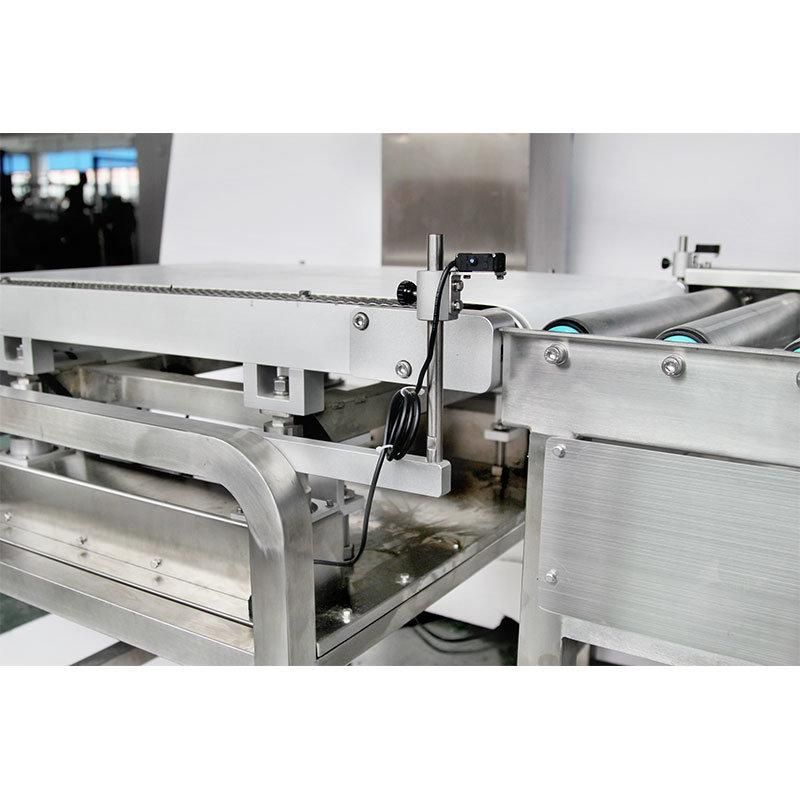 Checking Weight 30kg Check Weigher with Belt and Roller Conveyor