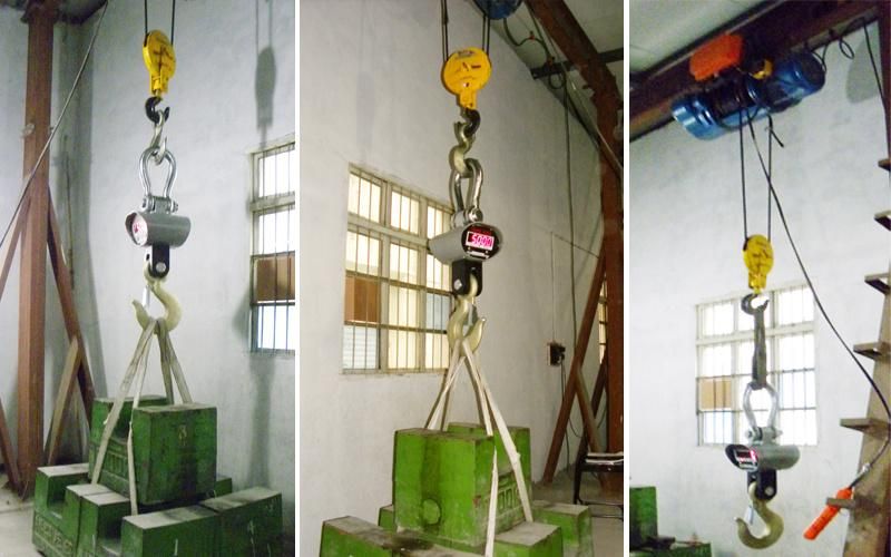 100 200 Kg 5 Ton Crane Hanging Scale Weighing