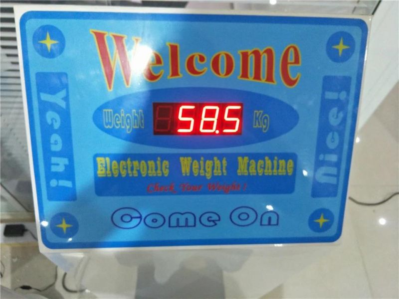 500kg Platform Weighing Machine