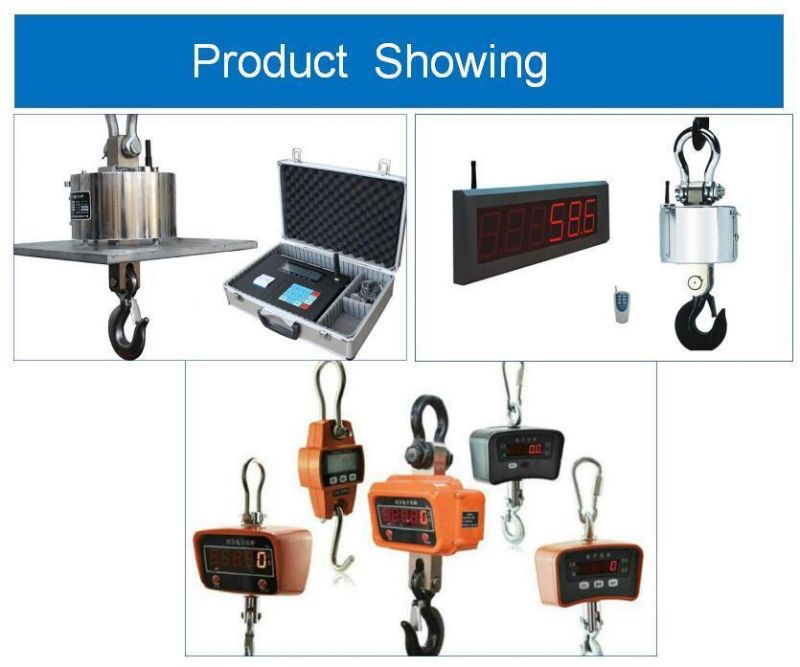 Electronic Crane Scales 1-30t with China Brand Quality