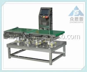 Dynamic Check Weigher Balance, Weighing Conveyor Belt Scale