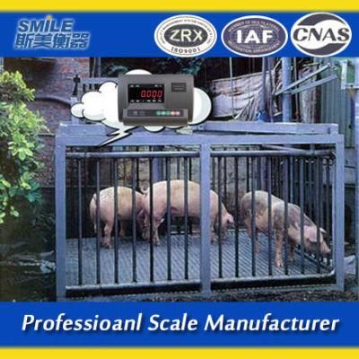 1ton 1*1m China Digital Weighting Scales Electronic Animal Scales with Easy Weight