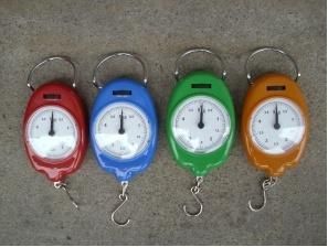 Mini Digital Mechanical Hand Held Hook Hanging Scale